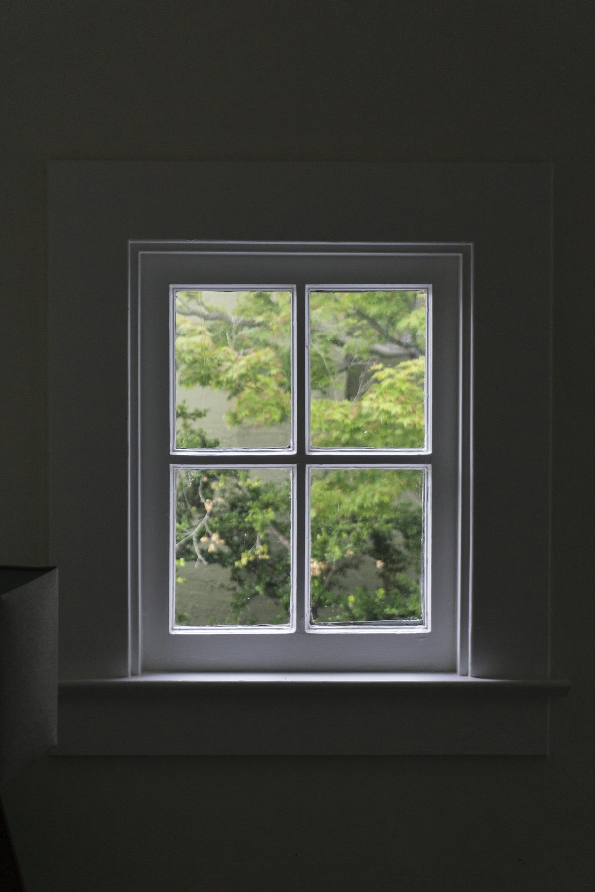 Window Cleaning